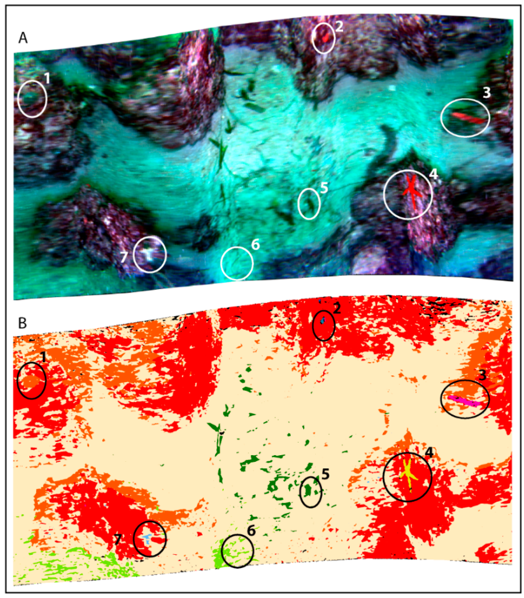 Sensors 19 02261 g006