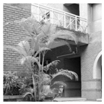 Sensors 19 02309 i003