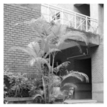 Sensors 19 02309 i004