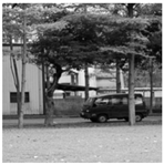 Sensors 19 02309 i009