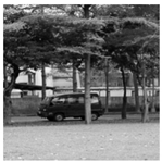 Sensors 19 02309 i012