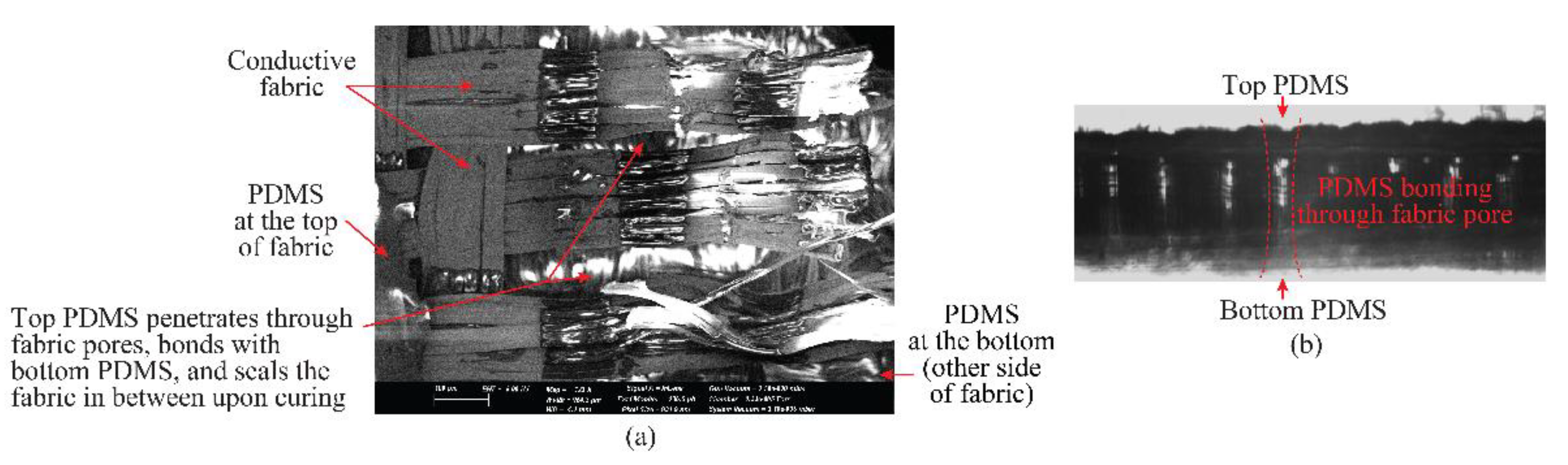 Sensors 19 02312 g005