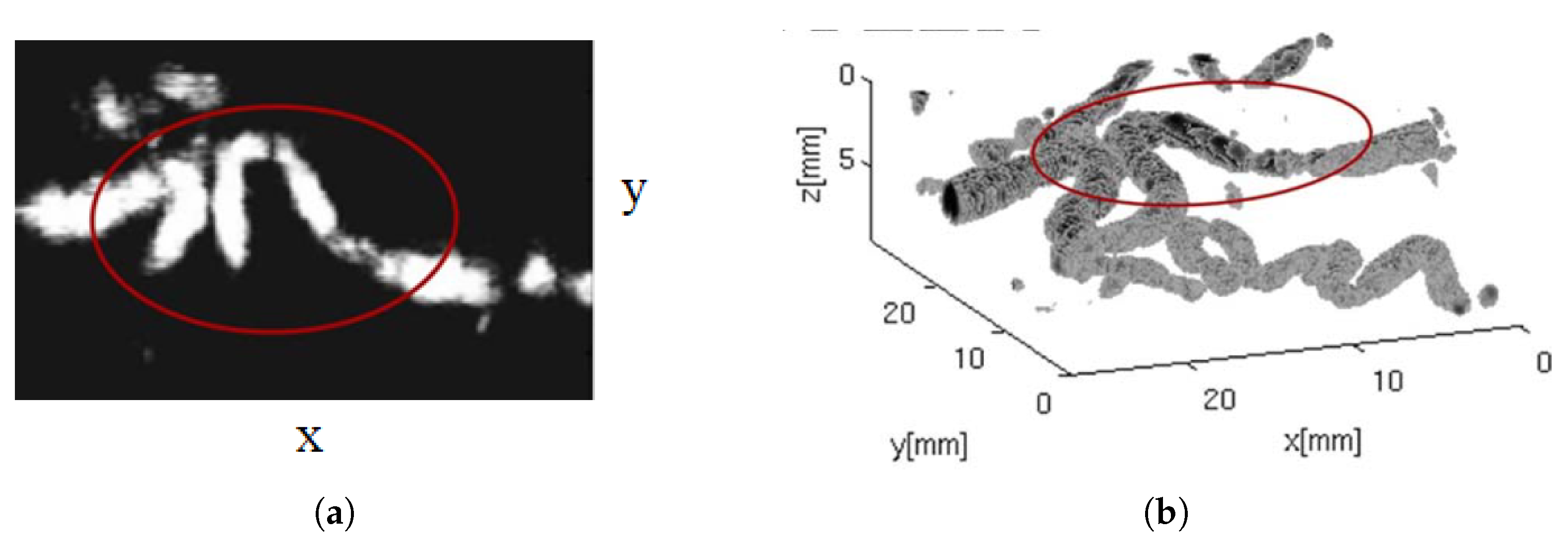 Sensors 19 02317 g005