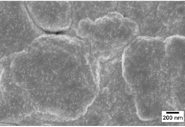 Sensors 19 02332 i005