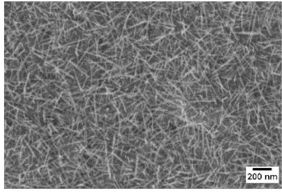 Sensors 19 02332 i007