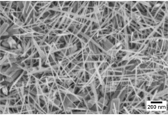 Sensors 19 02332 i017