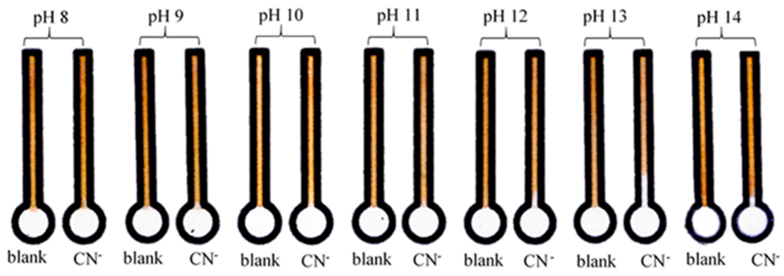 Sensors 19 02340 g003