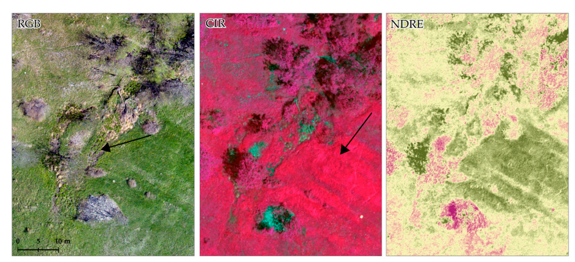 Sensors 19 02364 g010