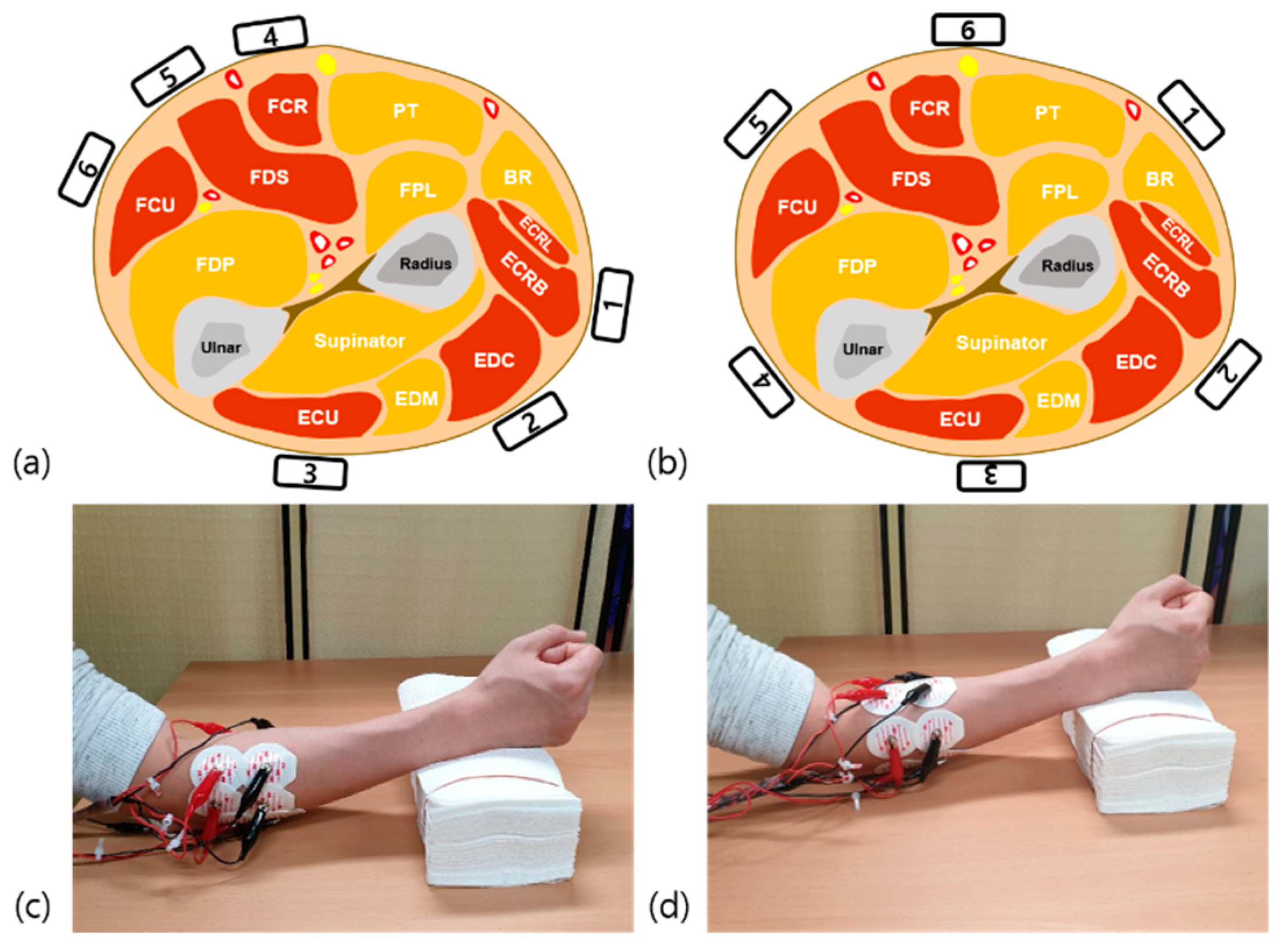 Sensors 19 02370 g001