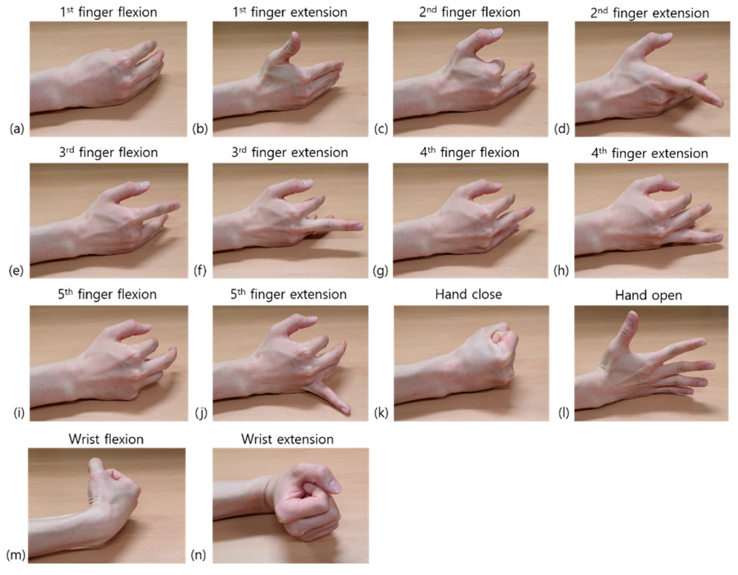Sensors 19 02370 g002
