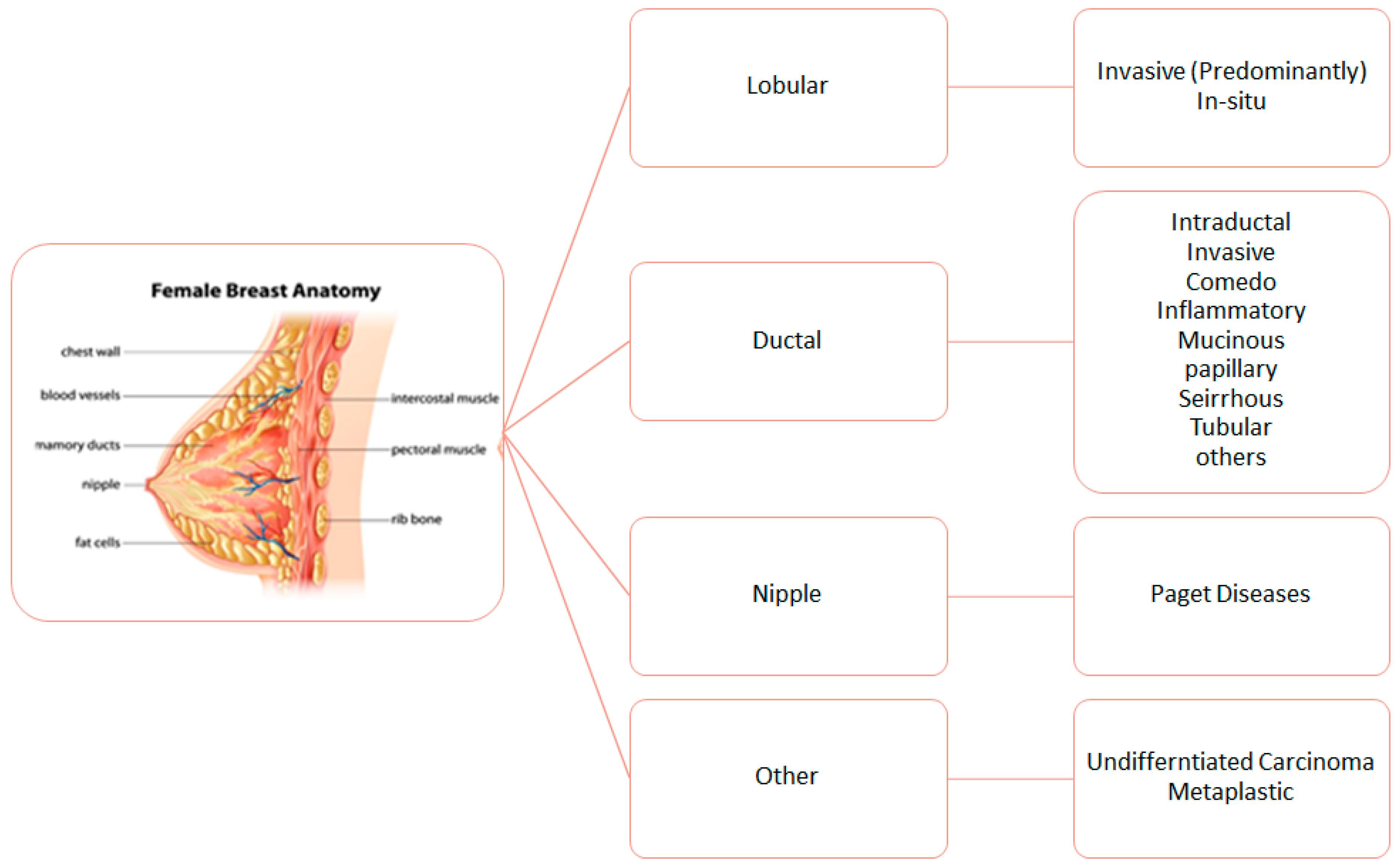 Sensors 19 02373 g003