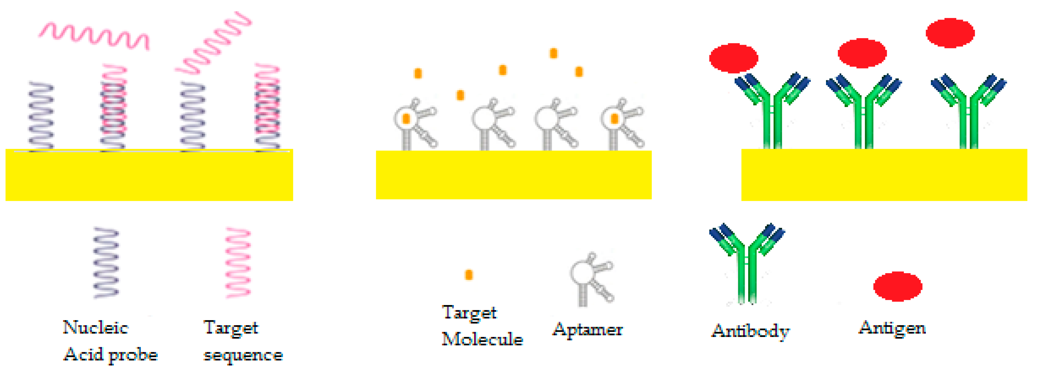 Sensors 19 02373 g006