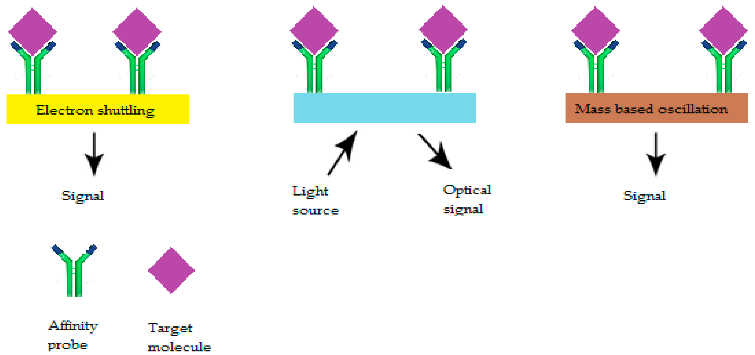 Sensors 19 02373 g007