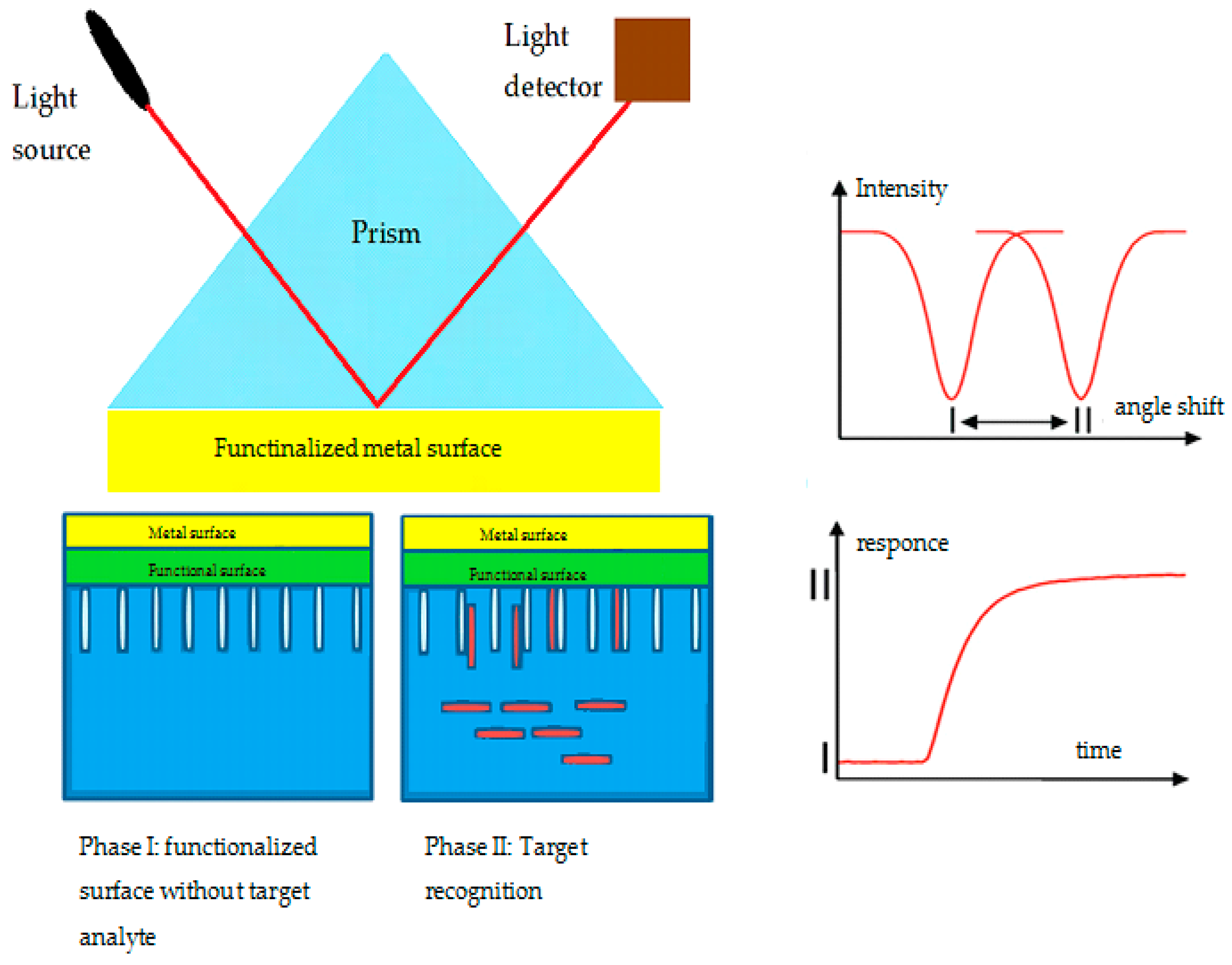 Sensors 19 02373 g010