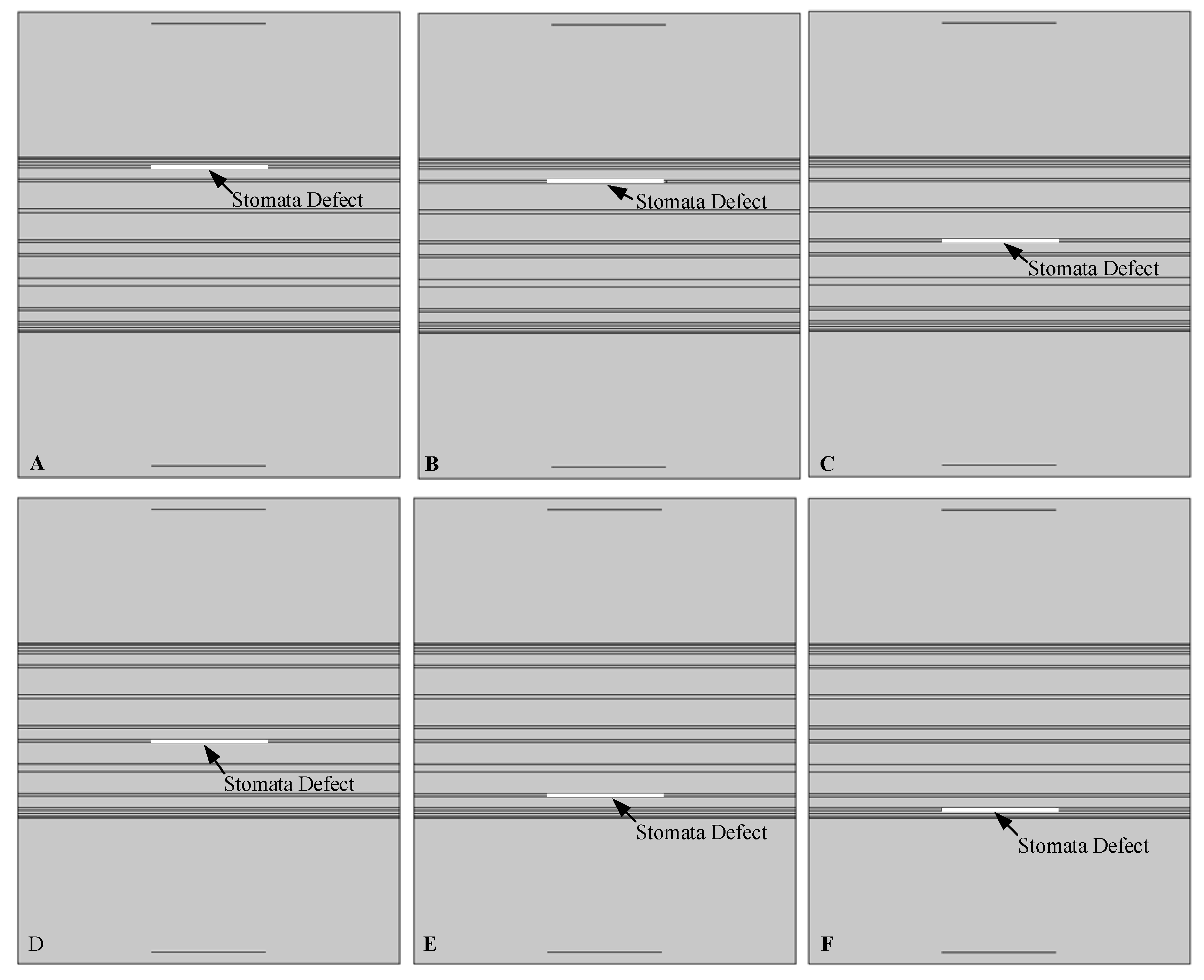Sensors 19 02391 g007
