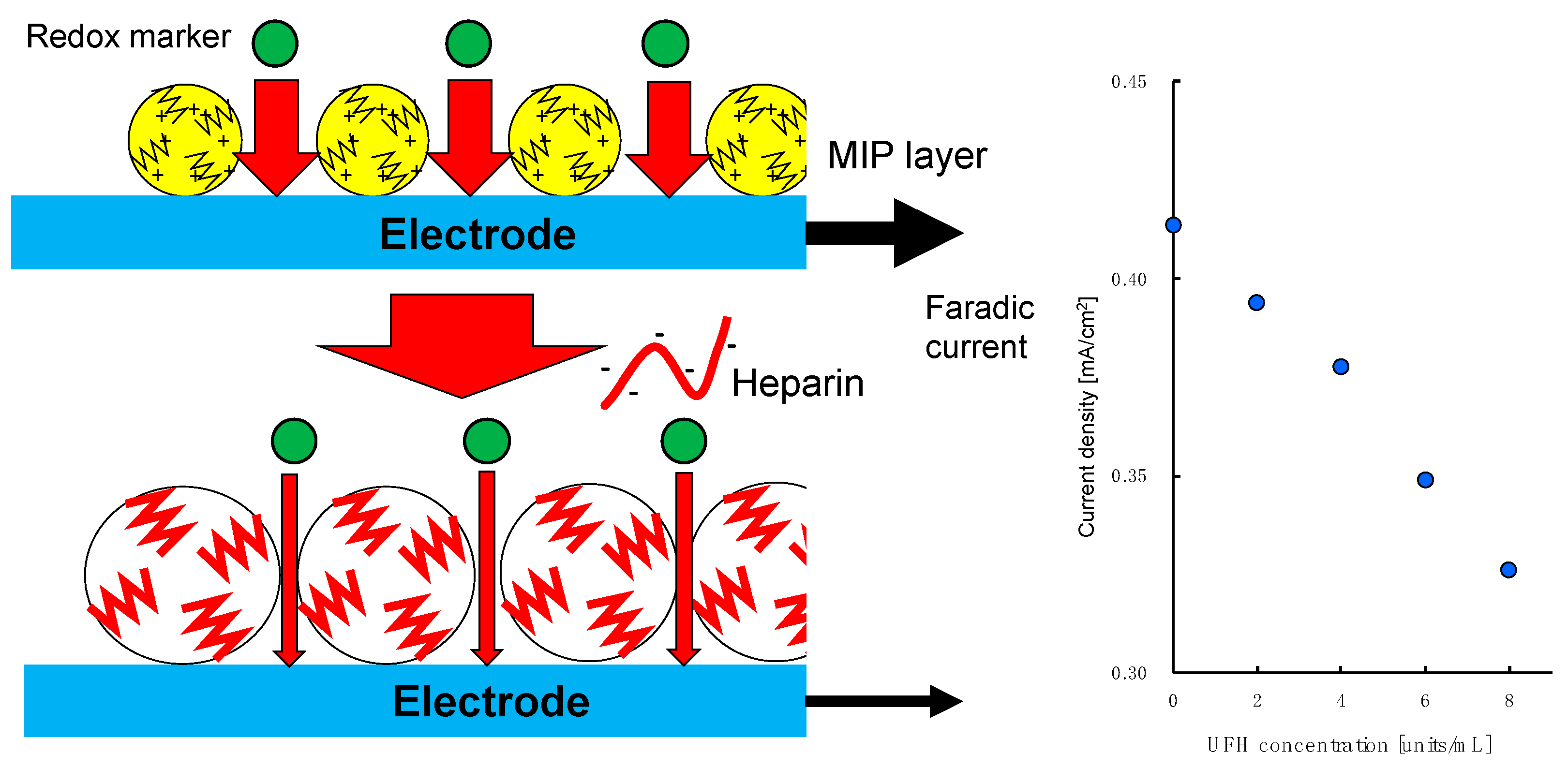 Sensors 19 02415 g006