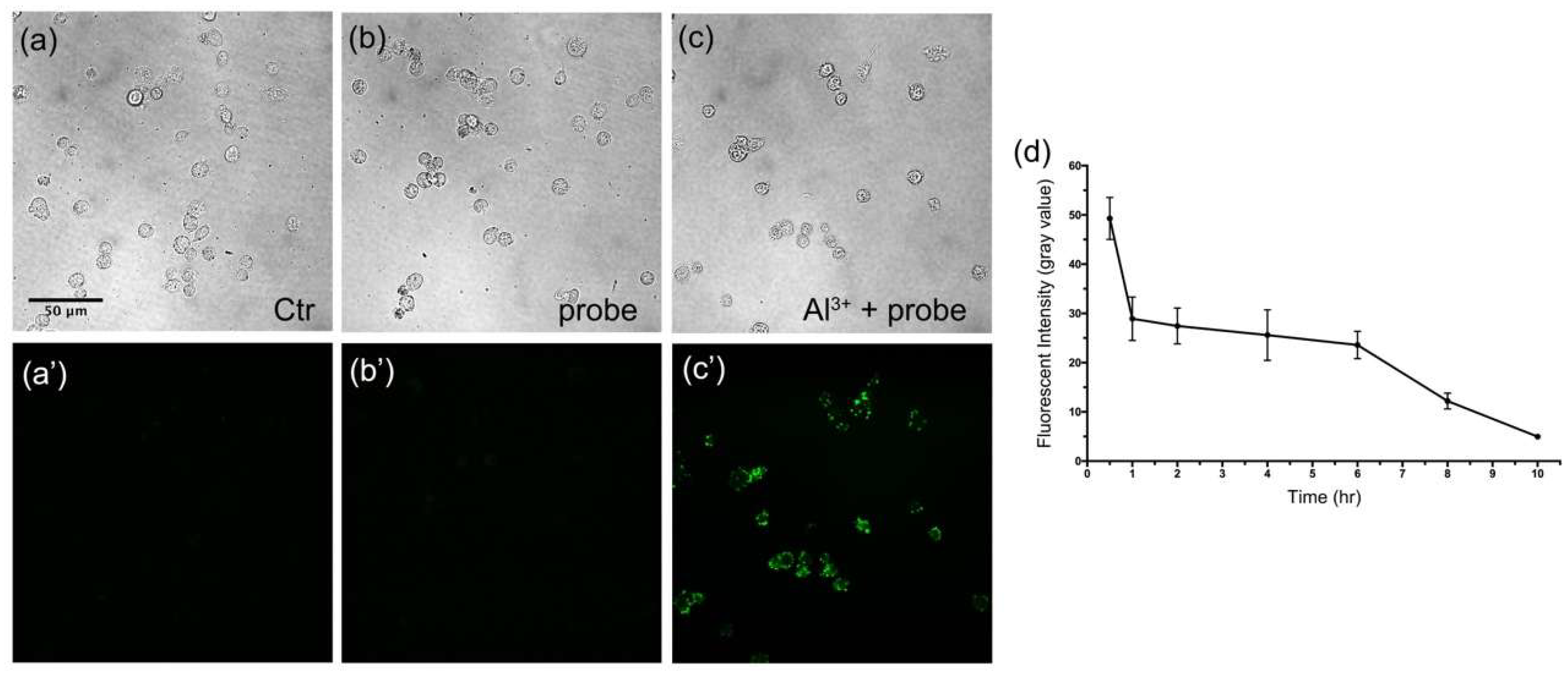 Sensors 19 02423 g007 Sensors 19 02423 g007