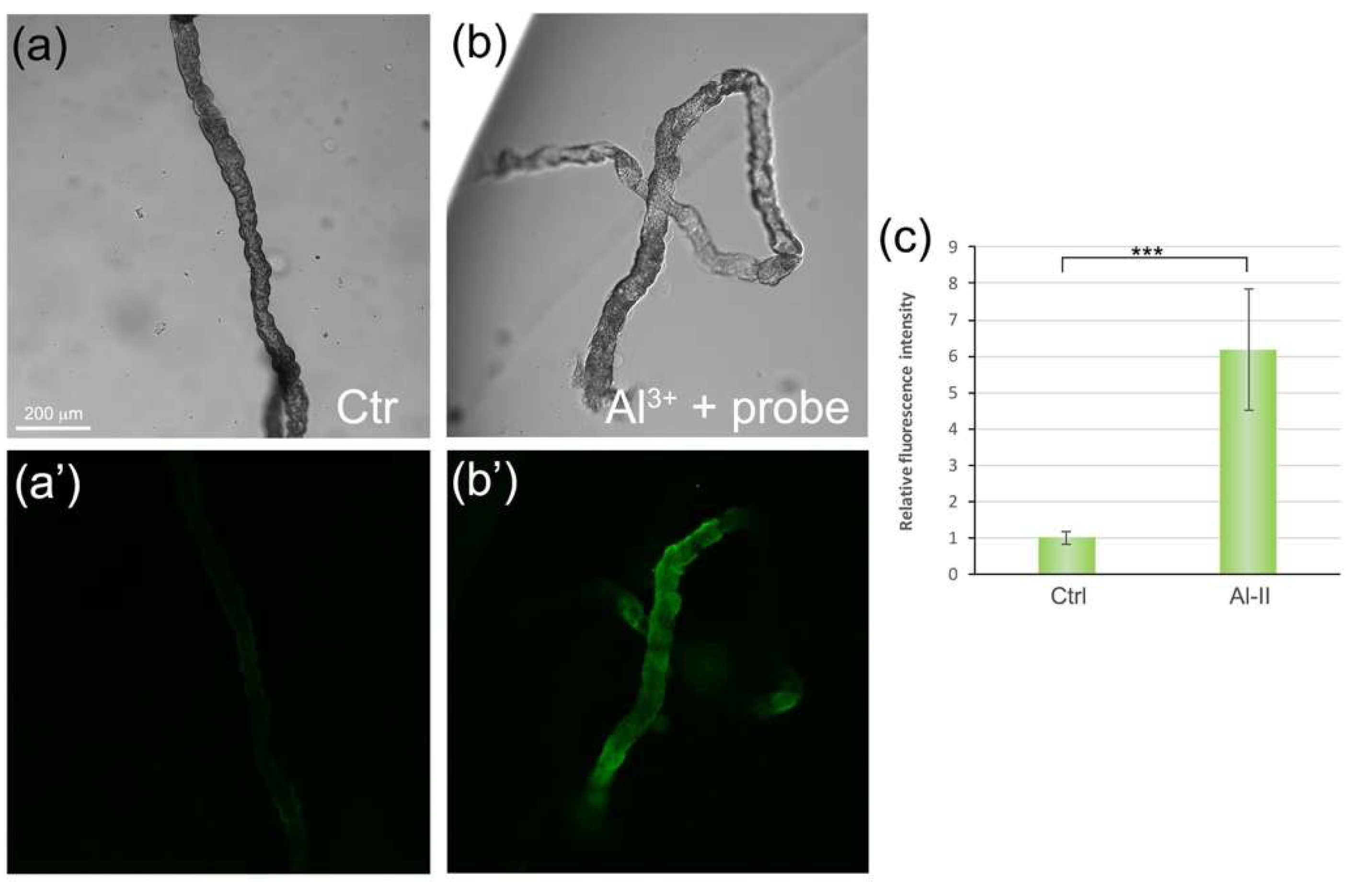 Sensors 19 02423 g008 Sensors 19 02423 g008