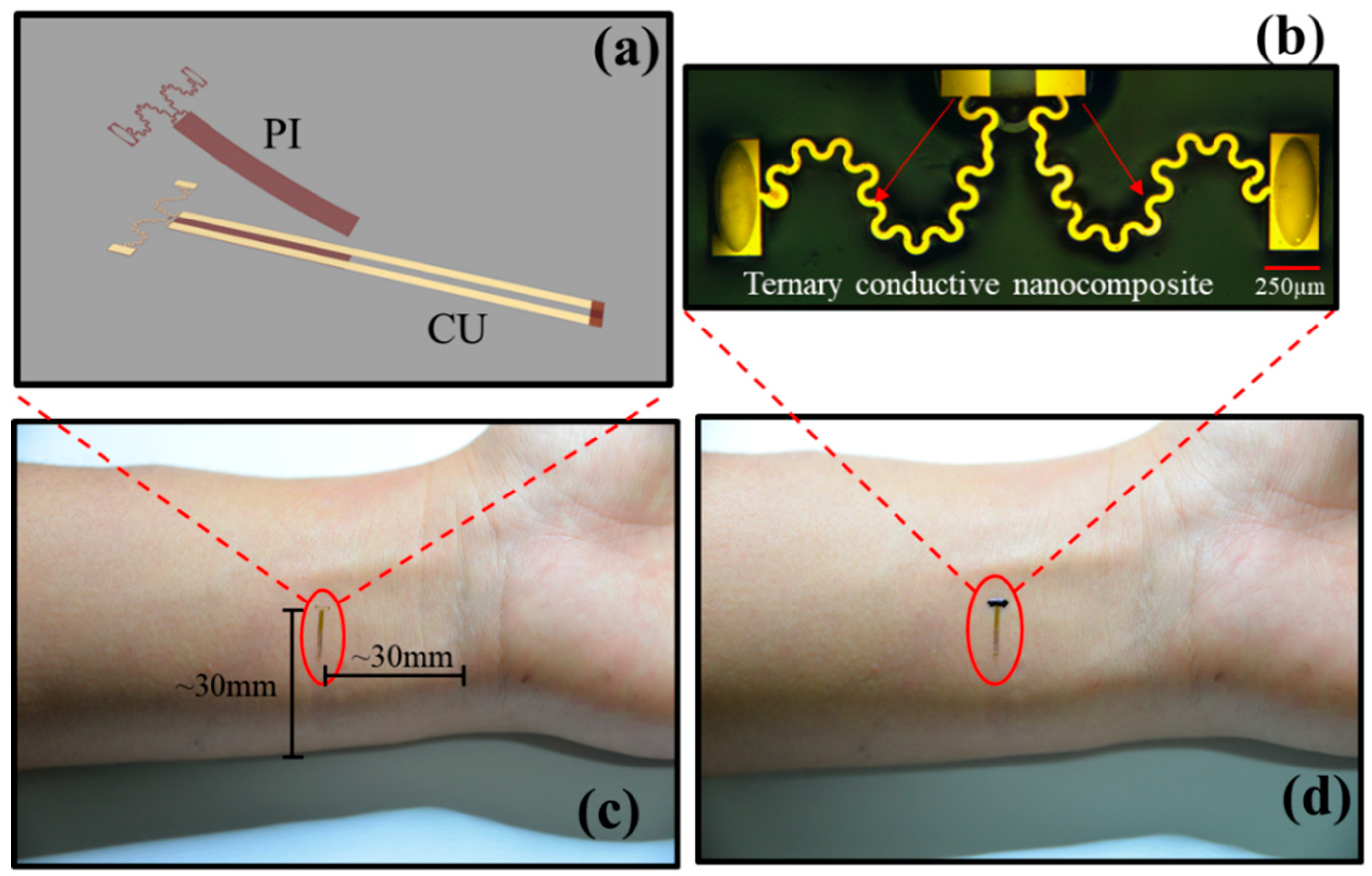 Sensors 19 02442 g001