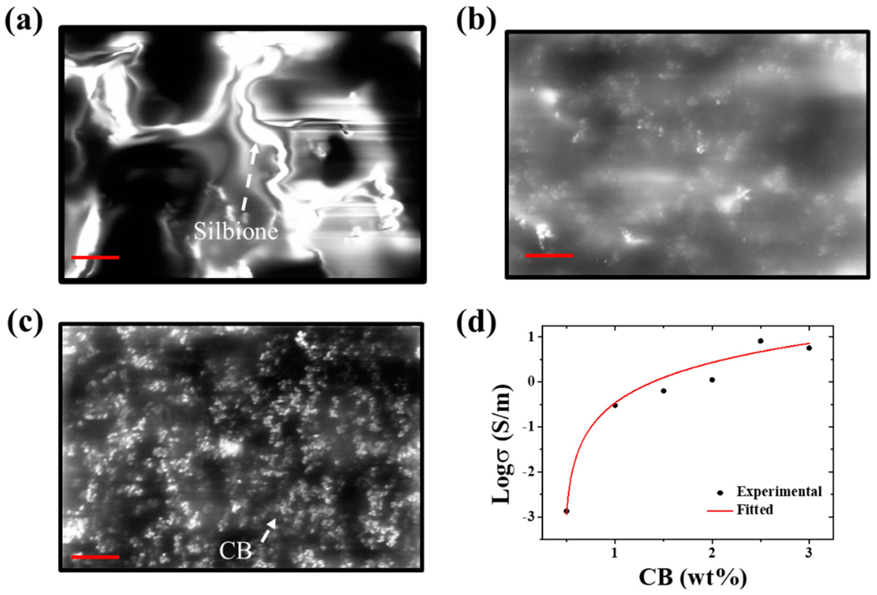 Sensors 19 02442 g004