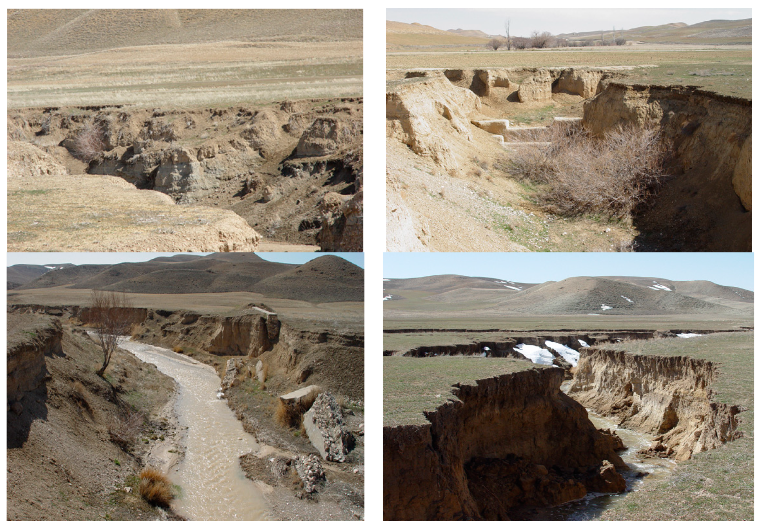 Sensors 19 02444 g002