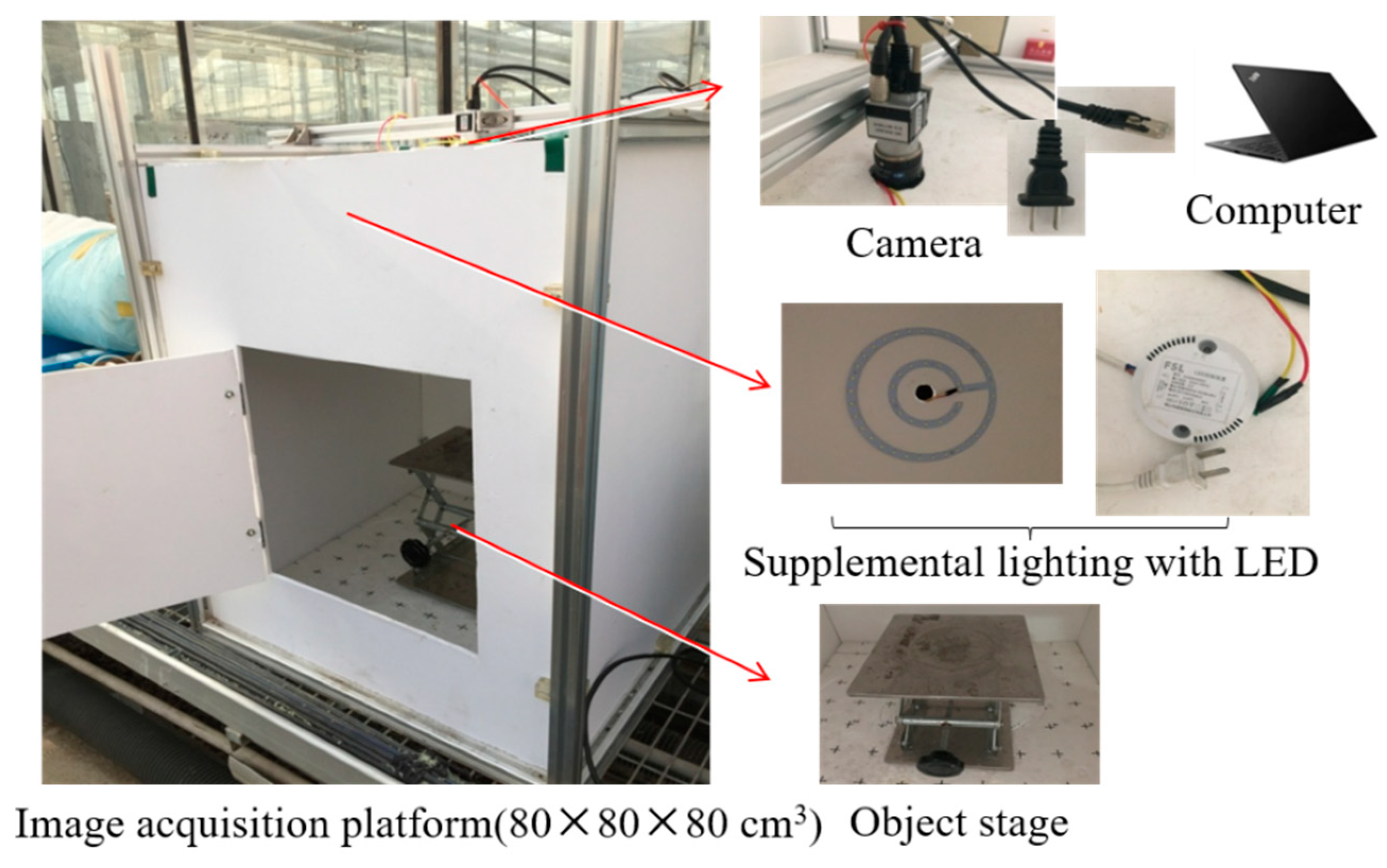 Sensors 19 02448 g001