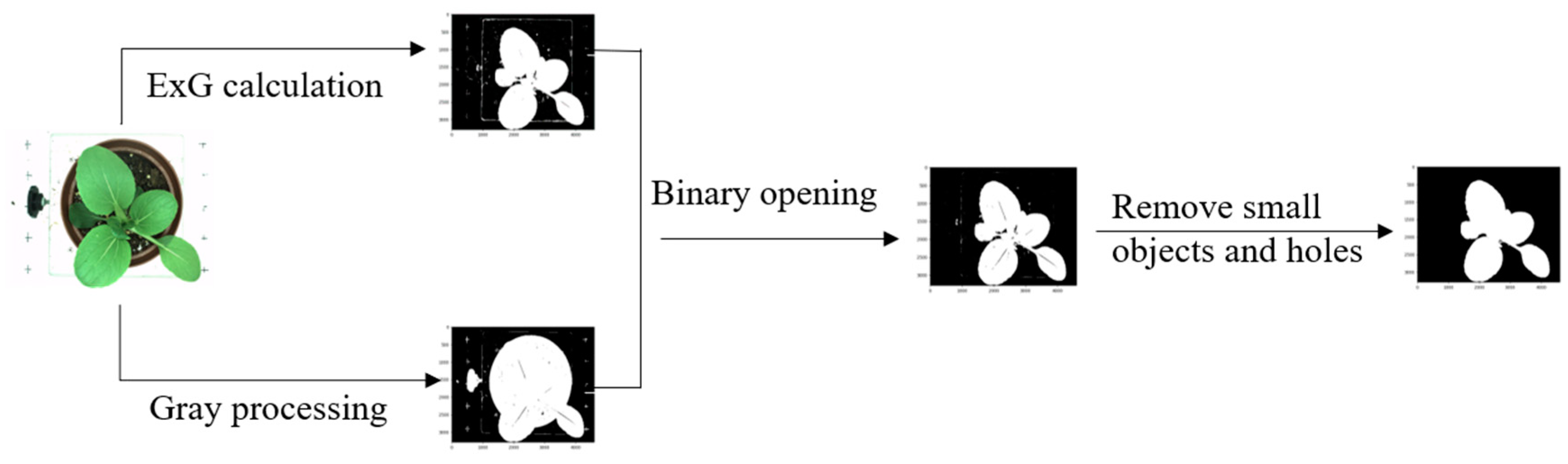 Sensors 19 02448 g002