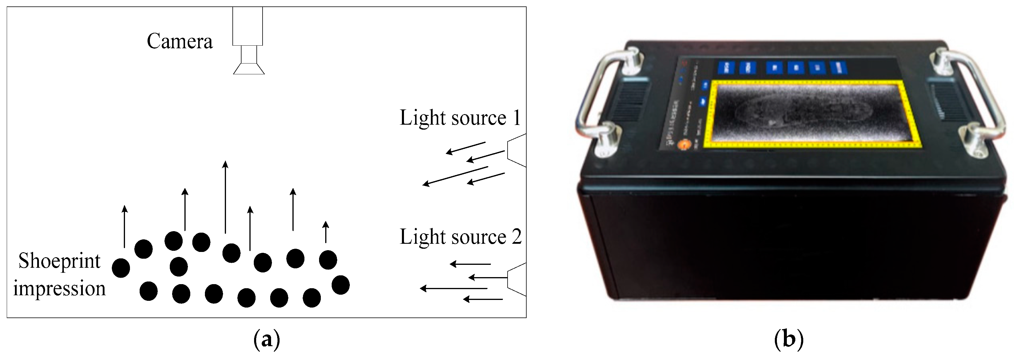 Sensors 19 02491 g003
