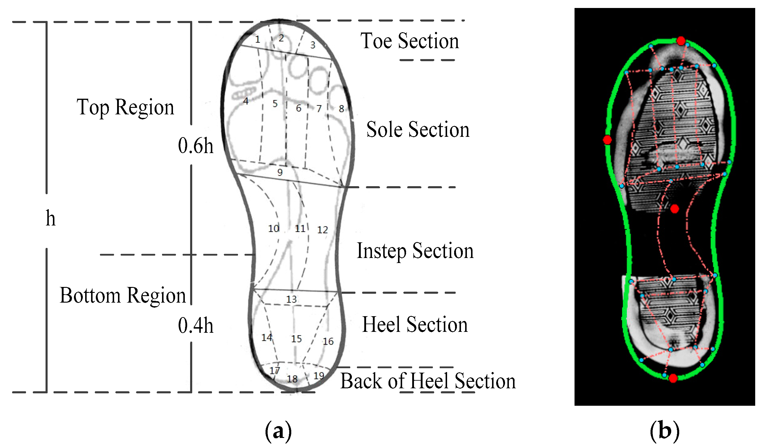 Sensors 19 02491 g005