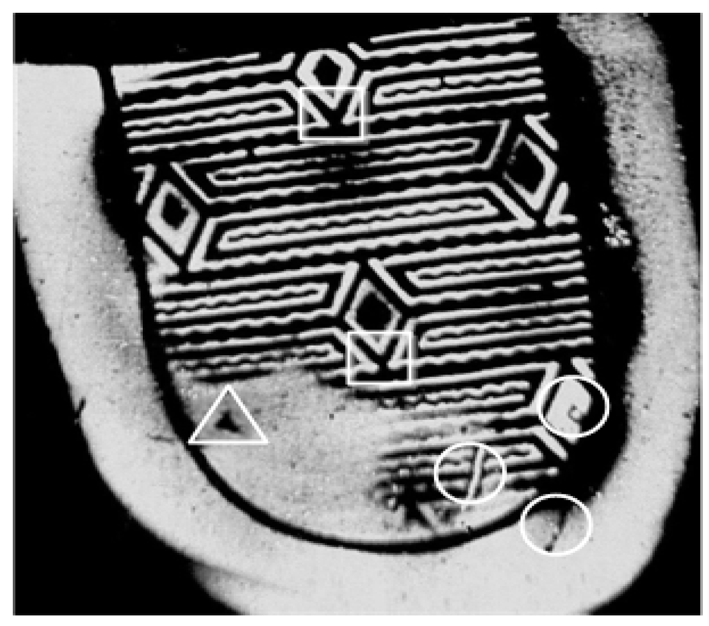 Sensors 19 02491 g007