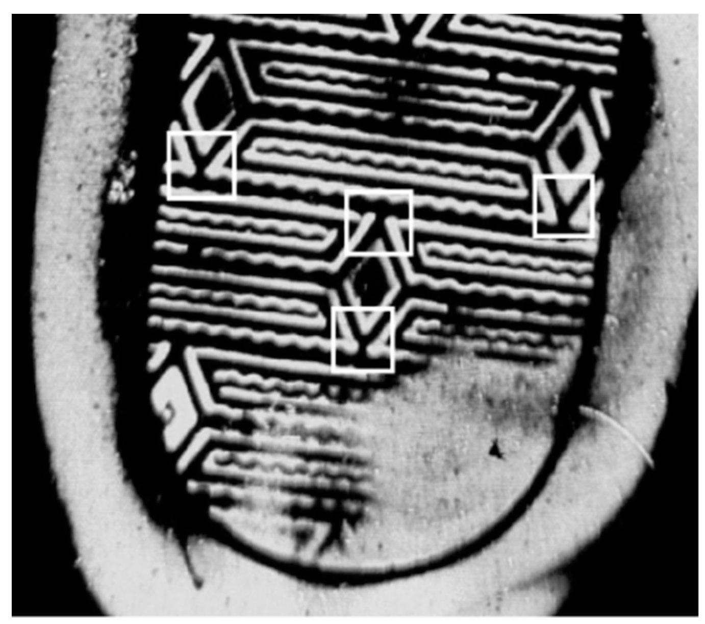 Sensors 19 02491 g008