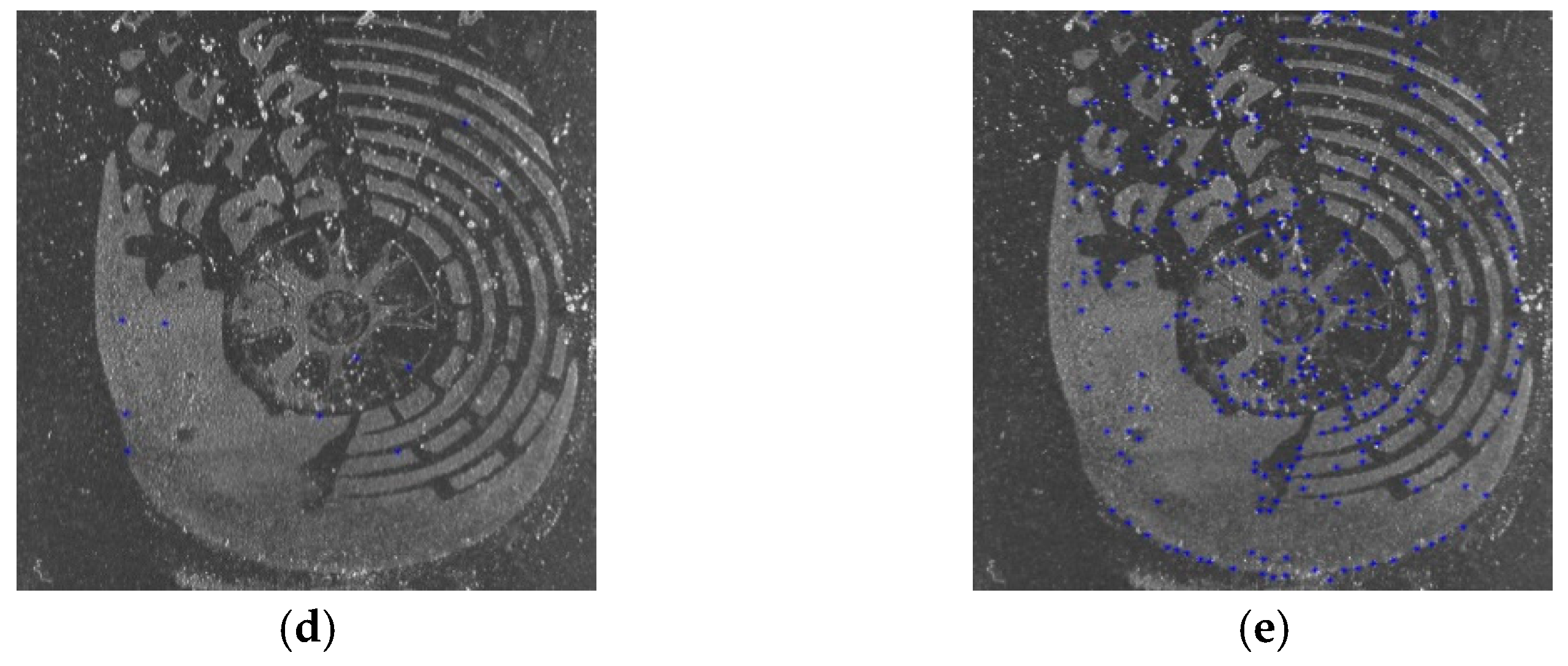 Sensors 19 02491 g013b