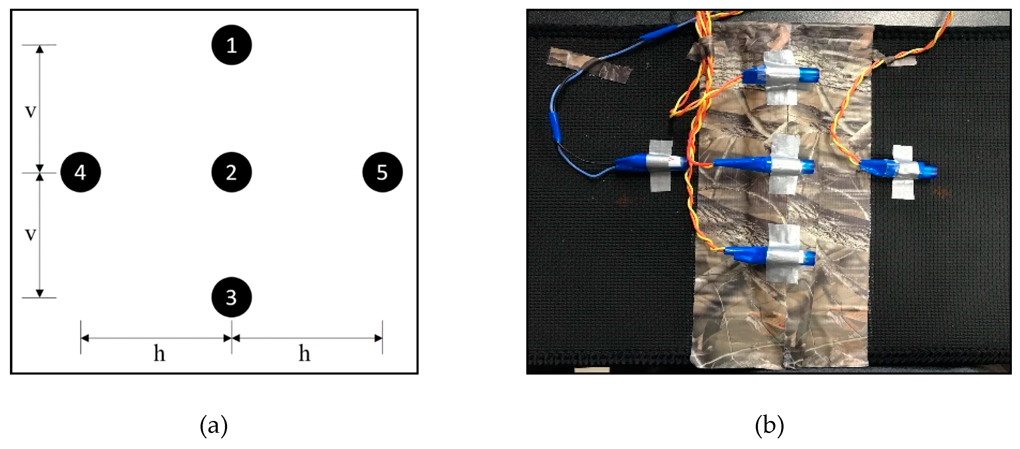 Sensors 19 02527 g005