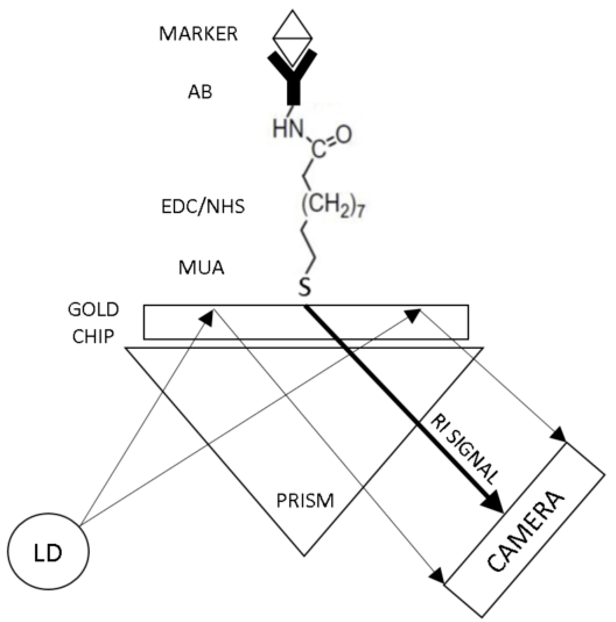 Sensors 19 02533 g004