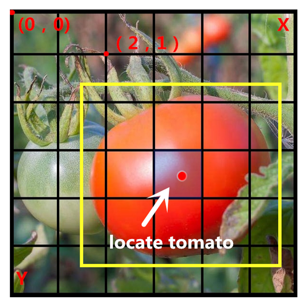 Sensors 19 02553 g007