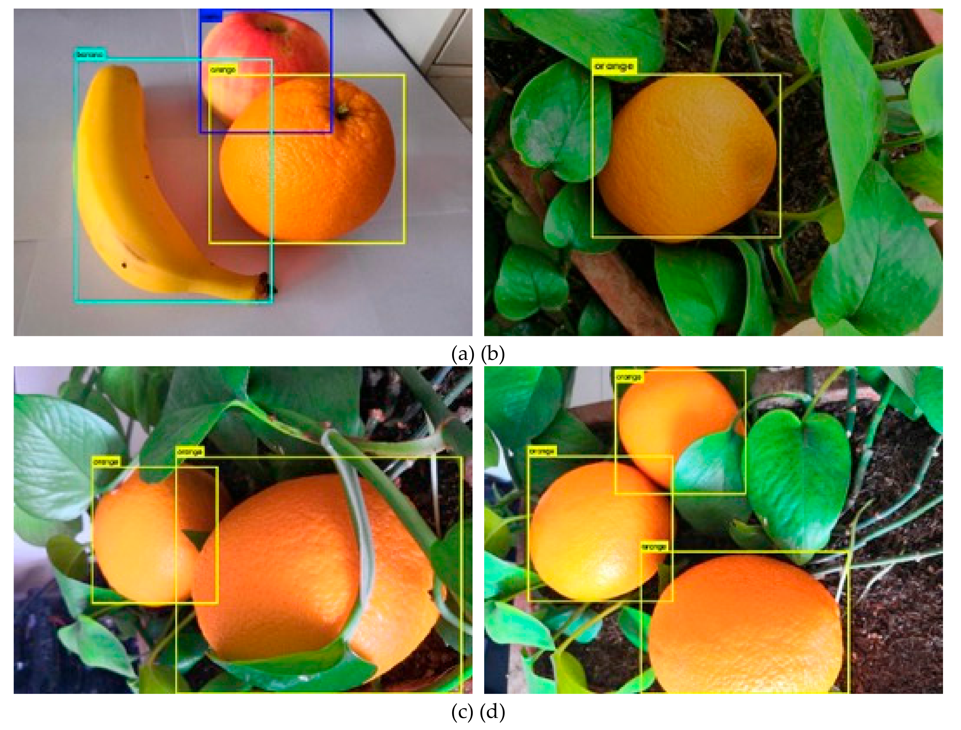 Sensors 19 02553 g009