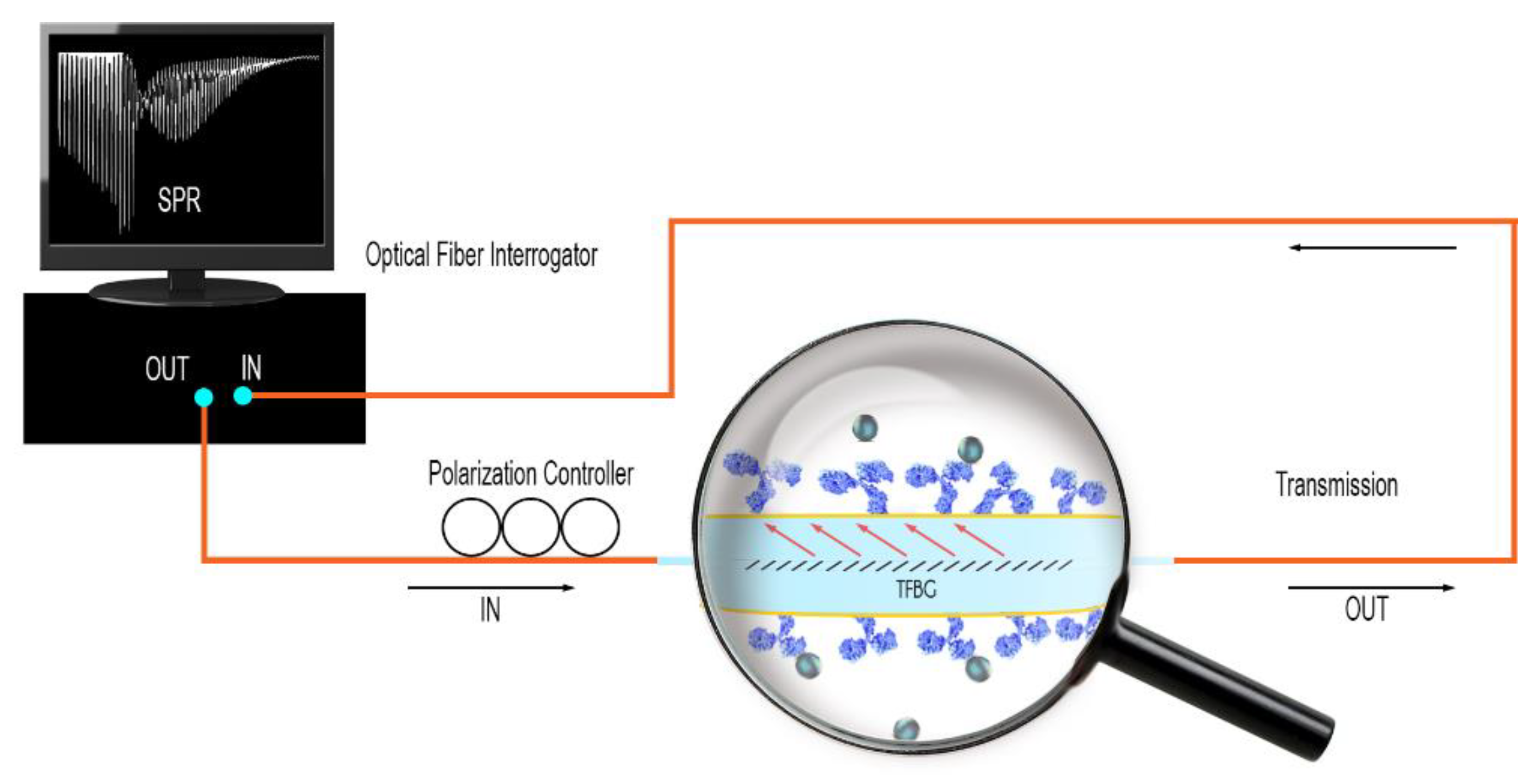 Sensors 19 02595 g001