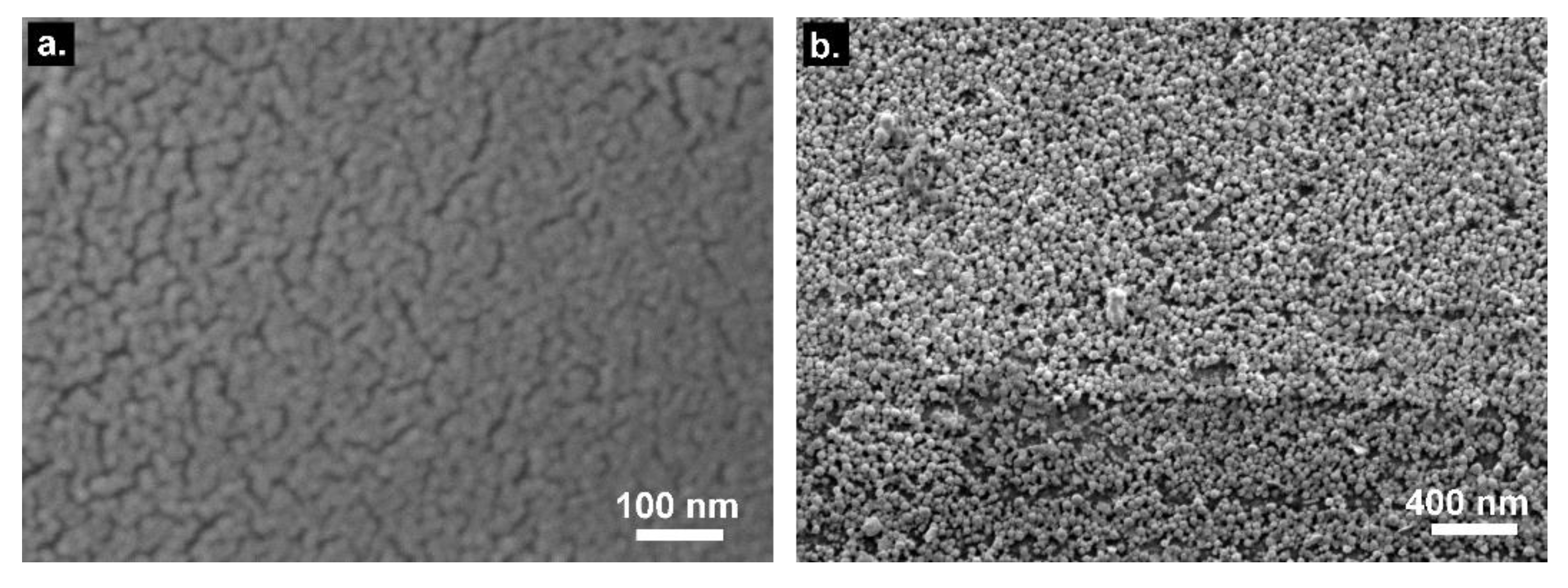 Sensors 19 02595 g004