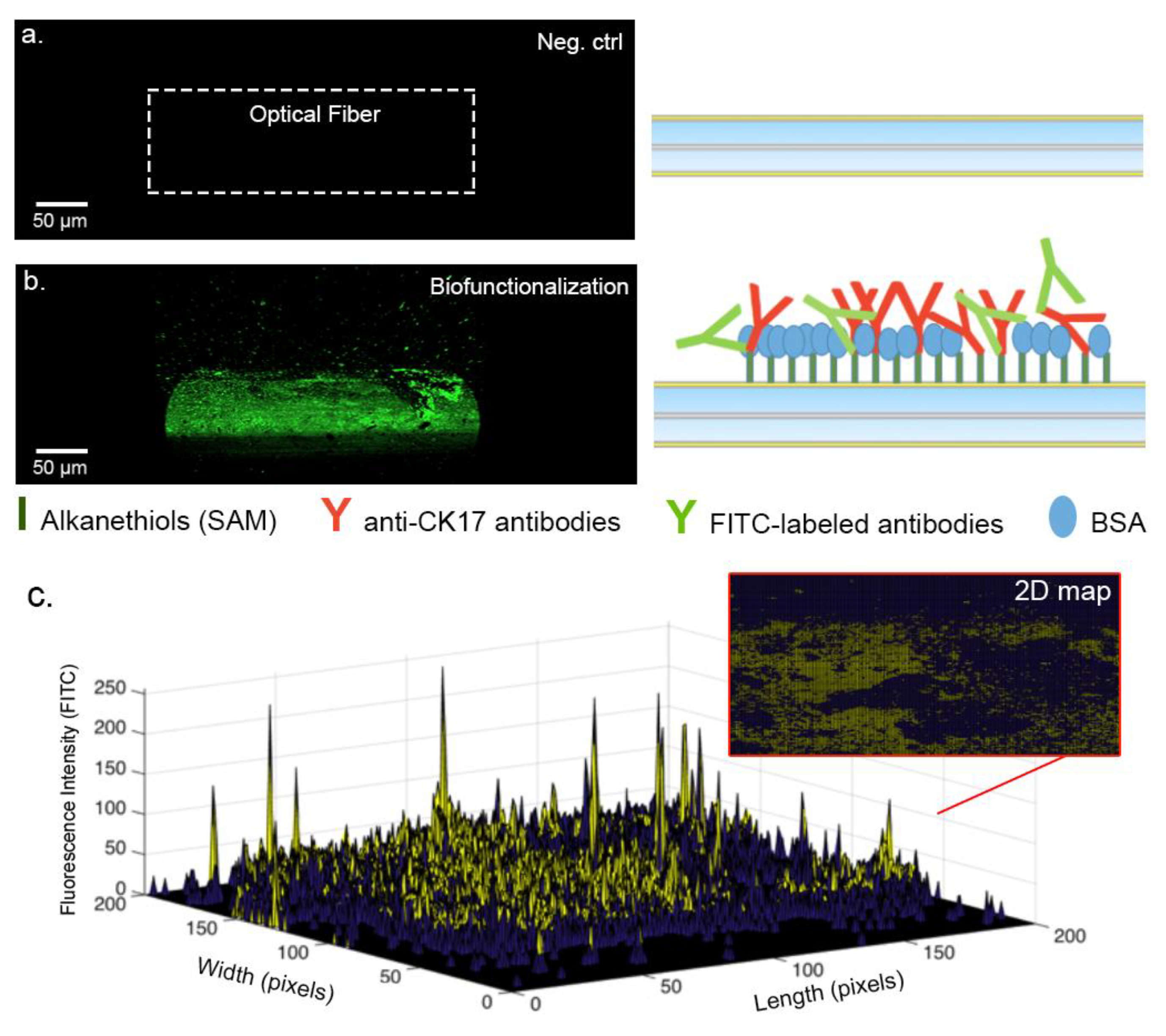 Sensors 19 02595 g006
