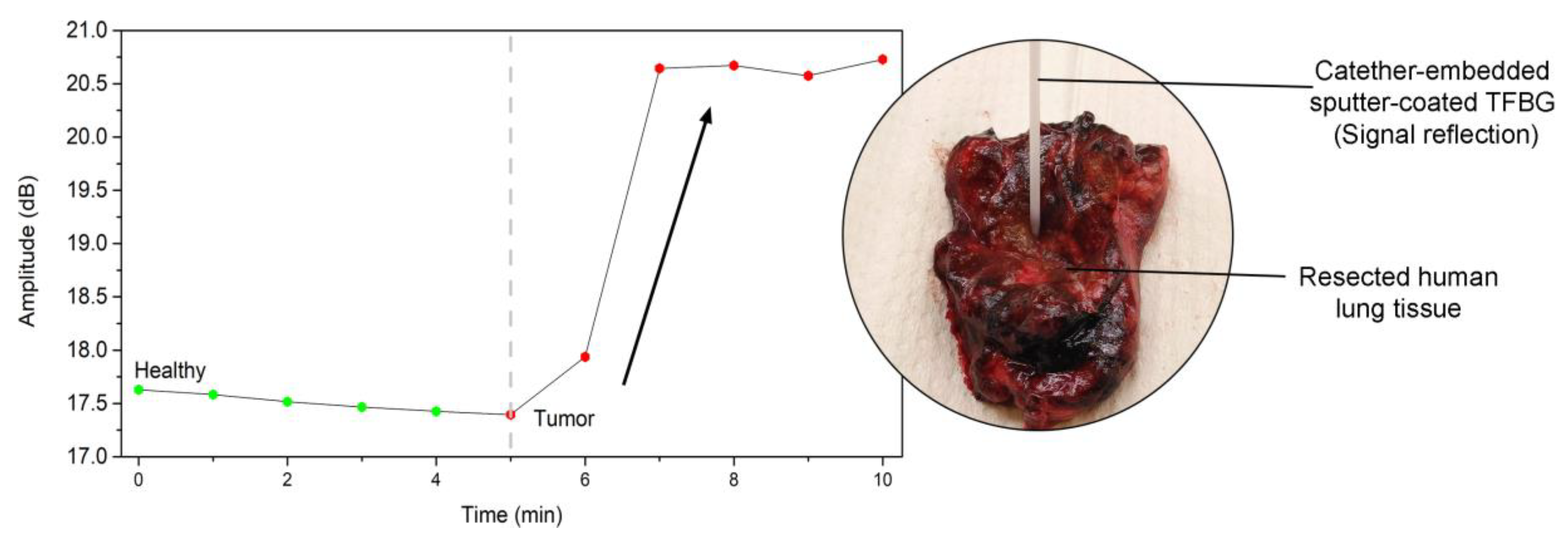 Sensors 19 02595 g008