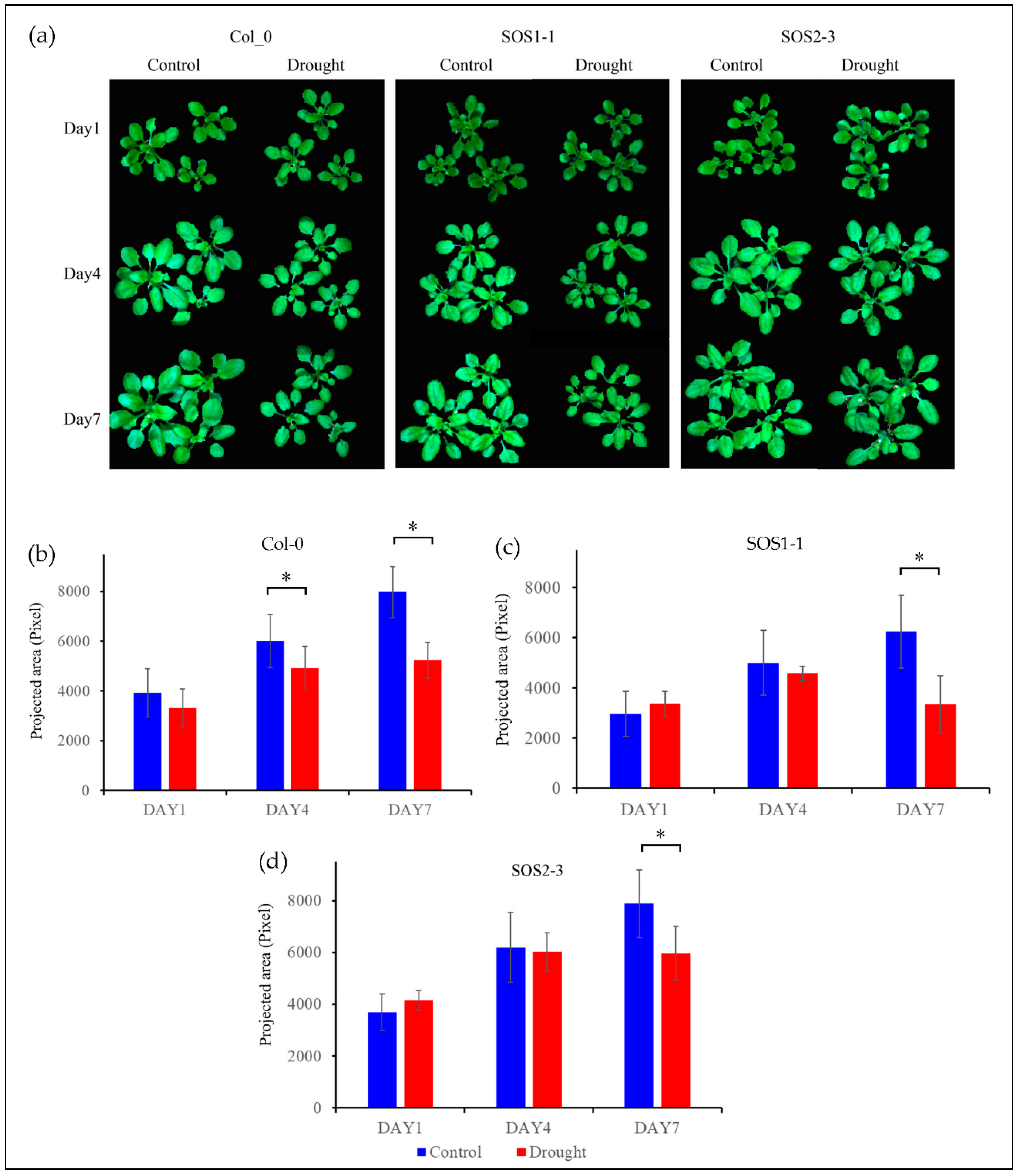 Sensors 19 02649 g002