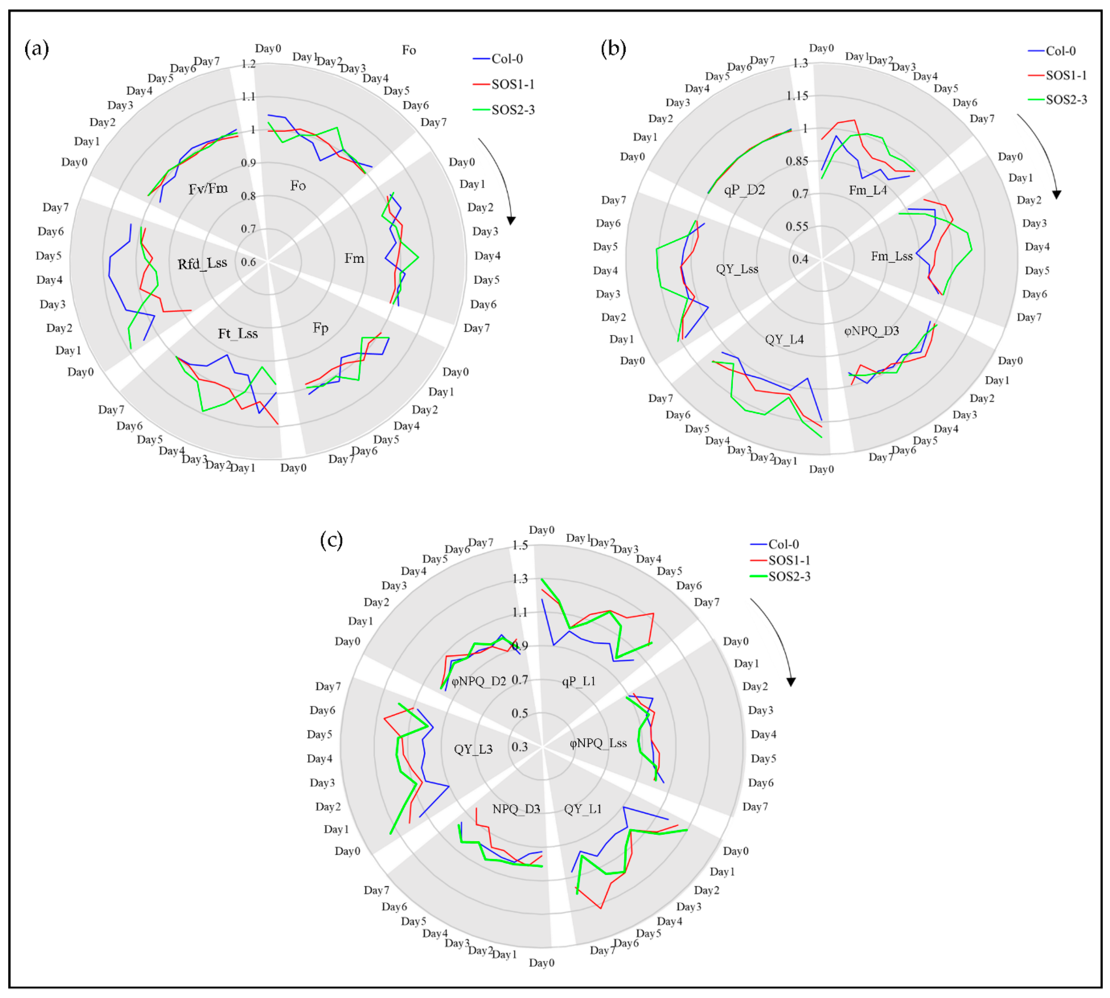 Sensors 19 02649 g006