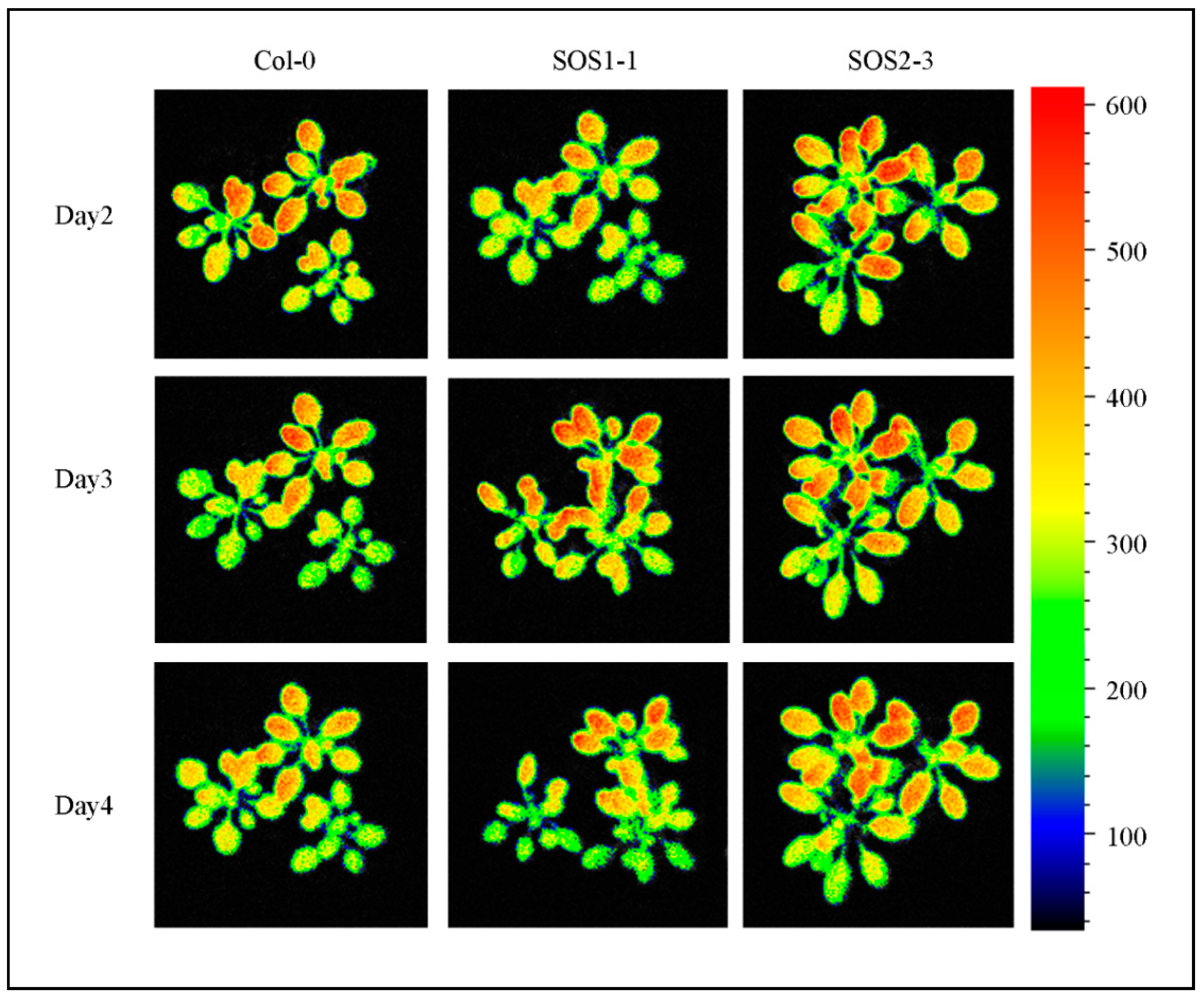Sensors 19 02649 g007