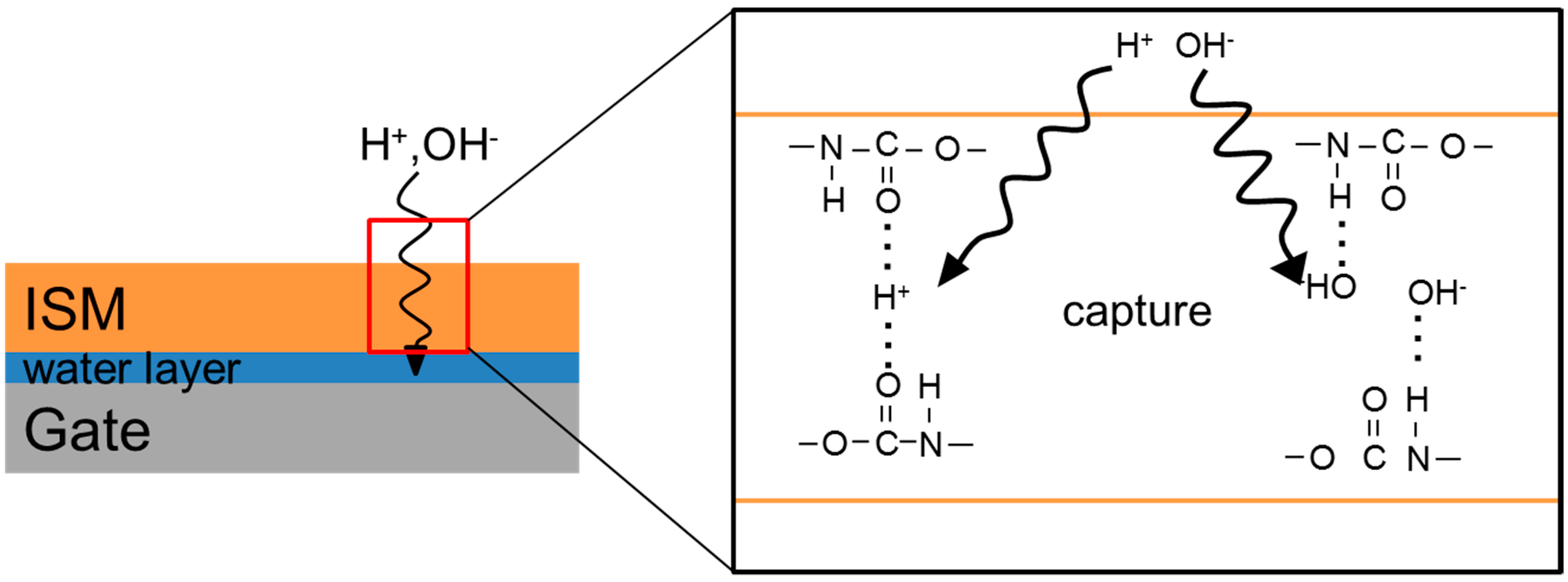 Sensors 19 02713 g005