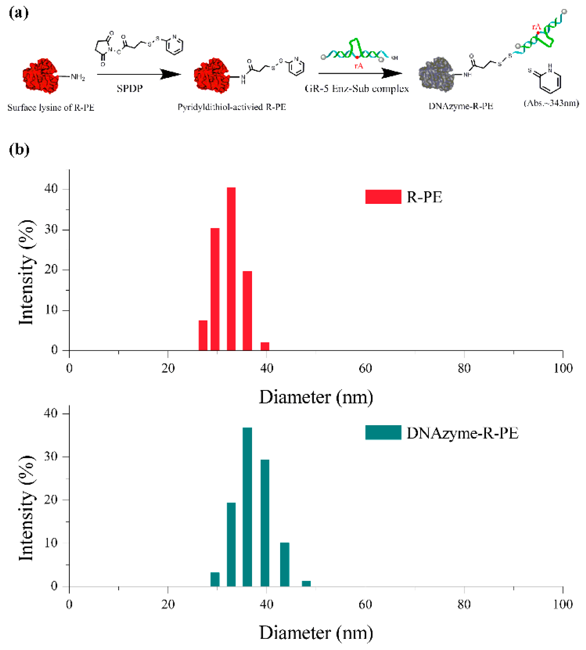 Sensors 19 02732 g001