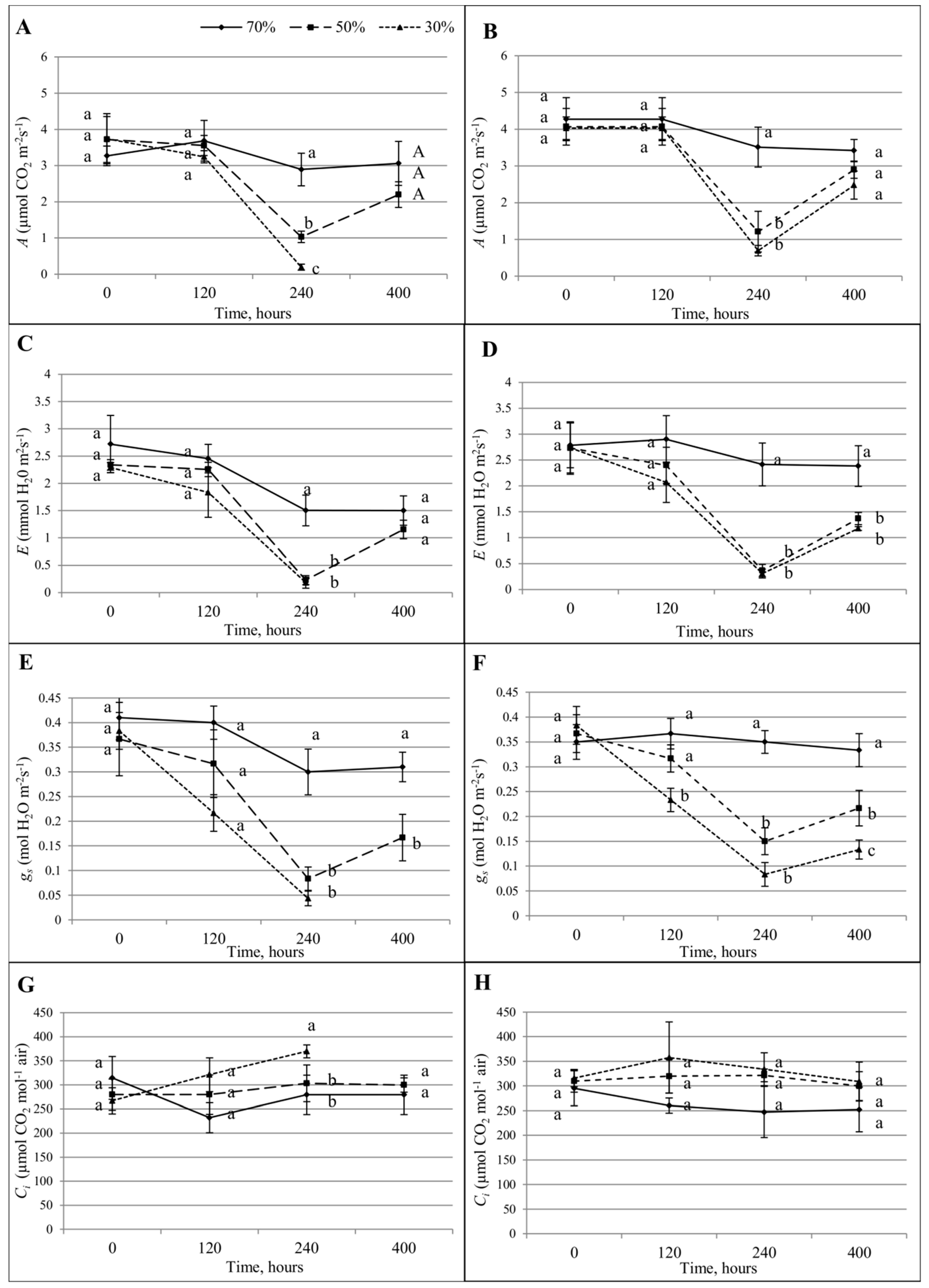 Sensors 19 02736 g008