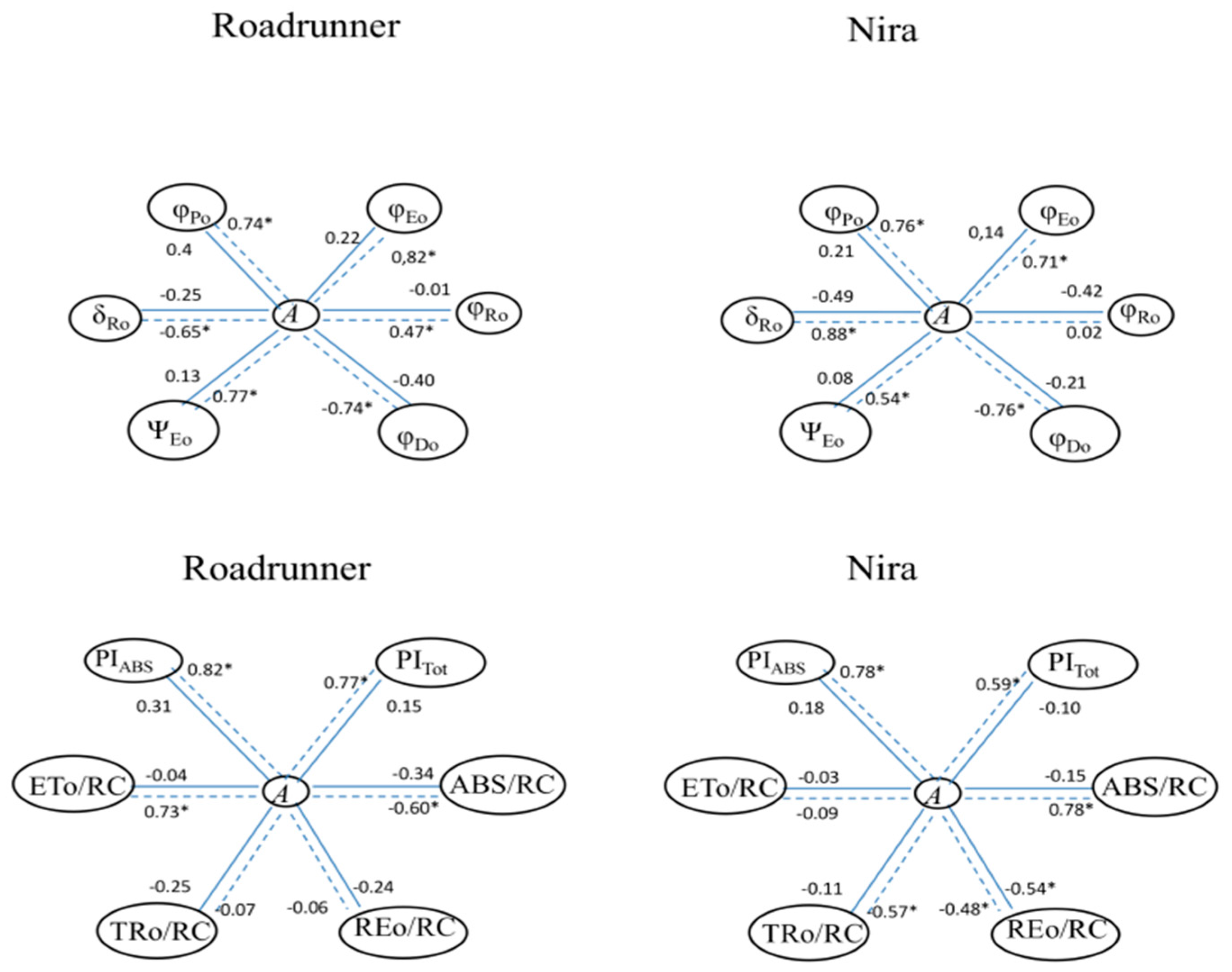 Sensors 19 02736 g009