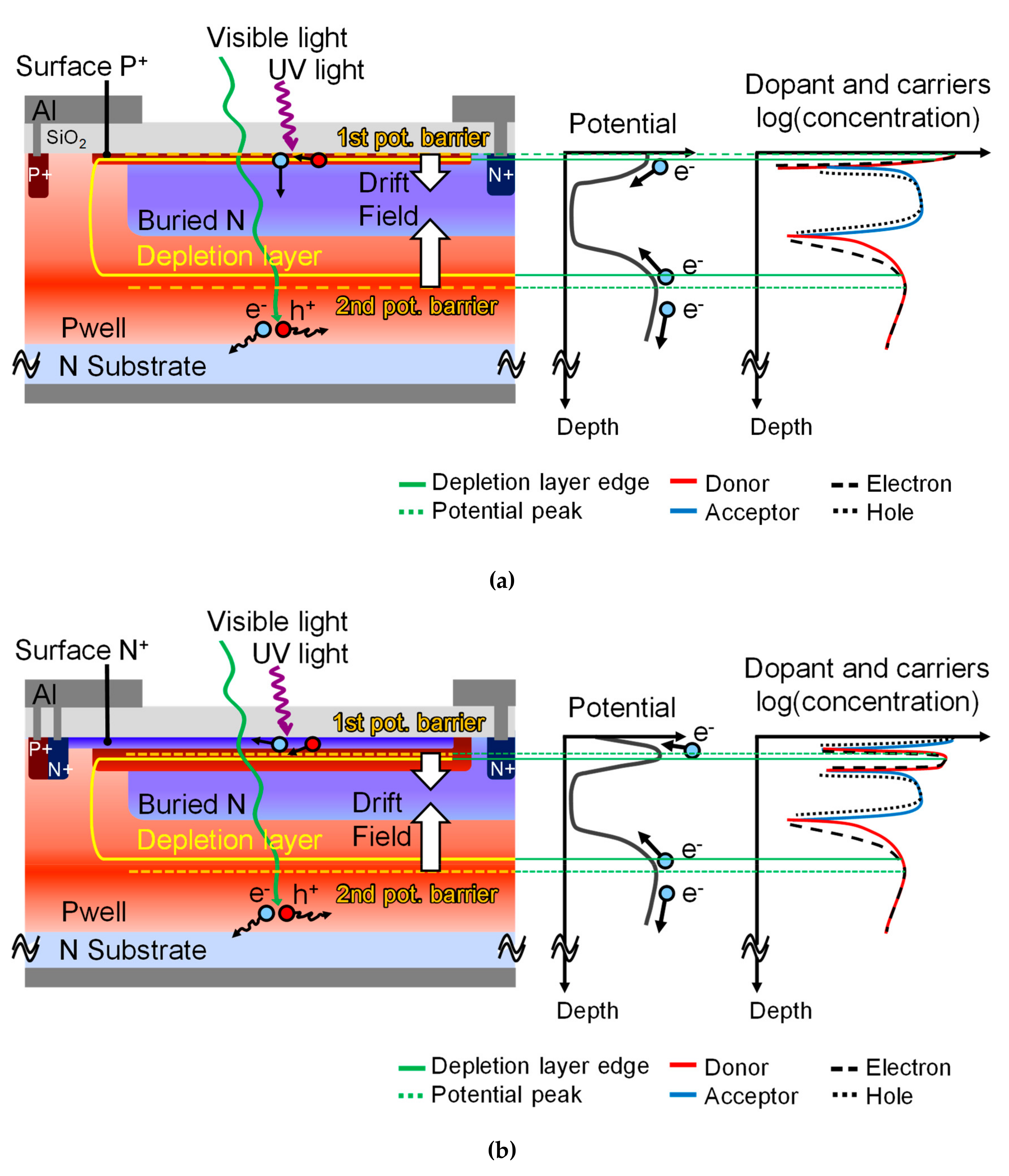 Sensors 19 02755 g002