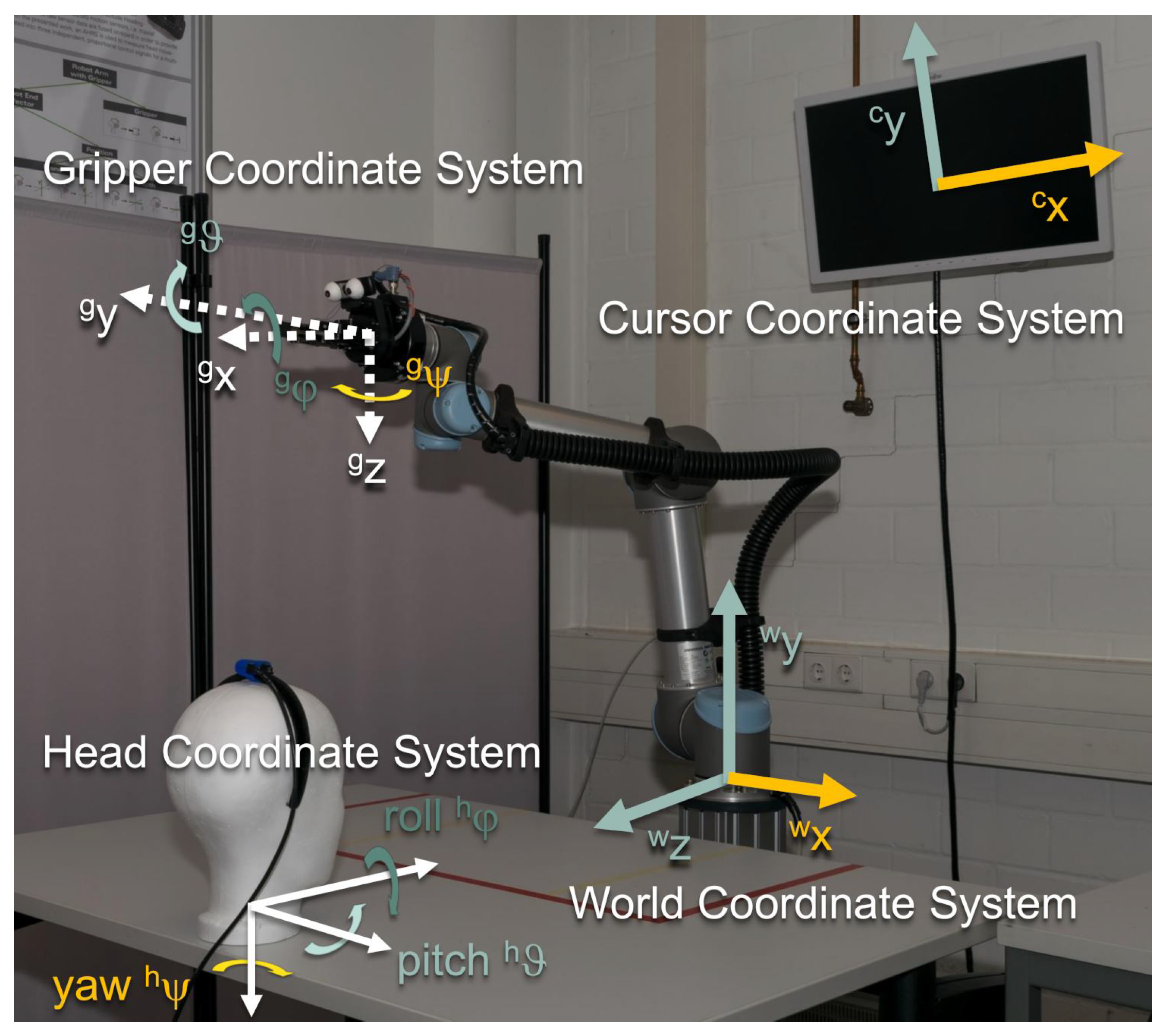 Sensors 19 02836 g002