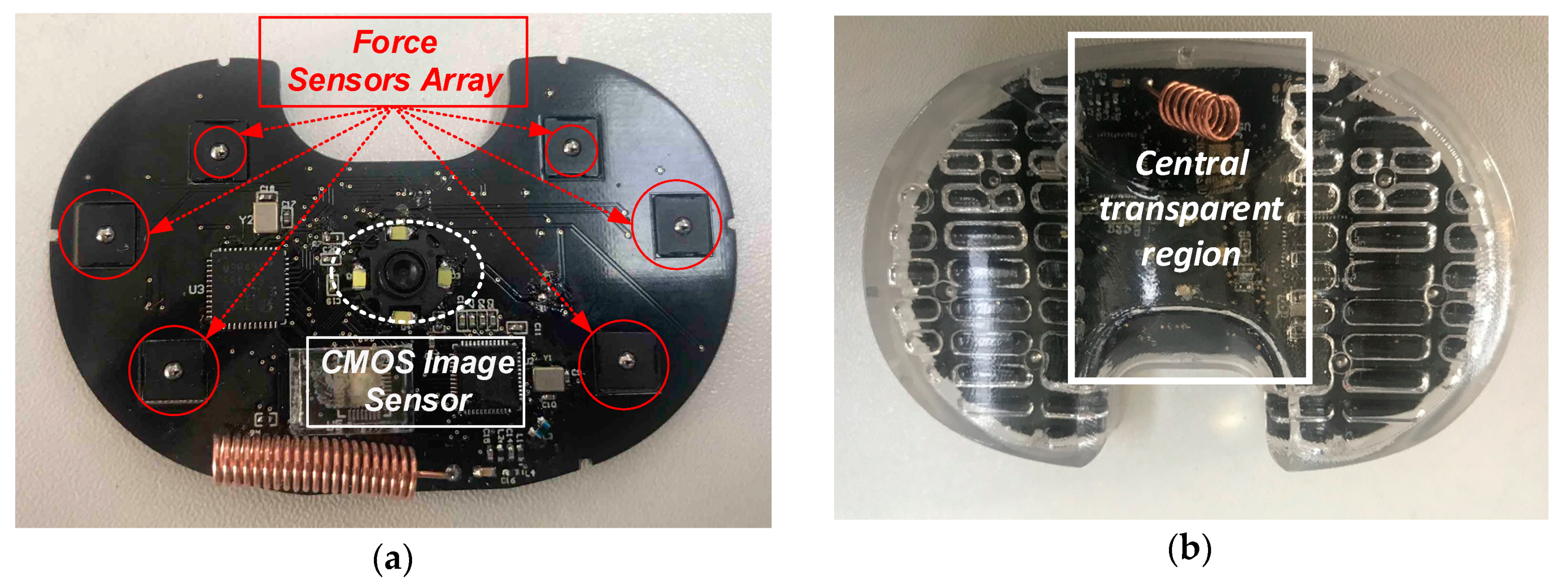 Sensors 19 02909 g005